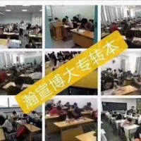 专转本冲刺别瞎忙！选对方法，少走半年弯路